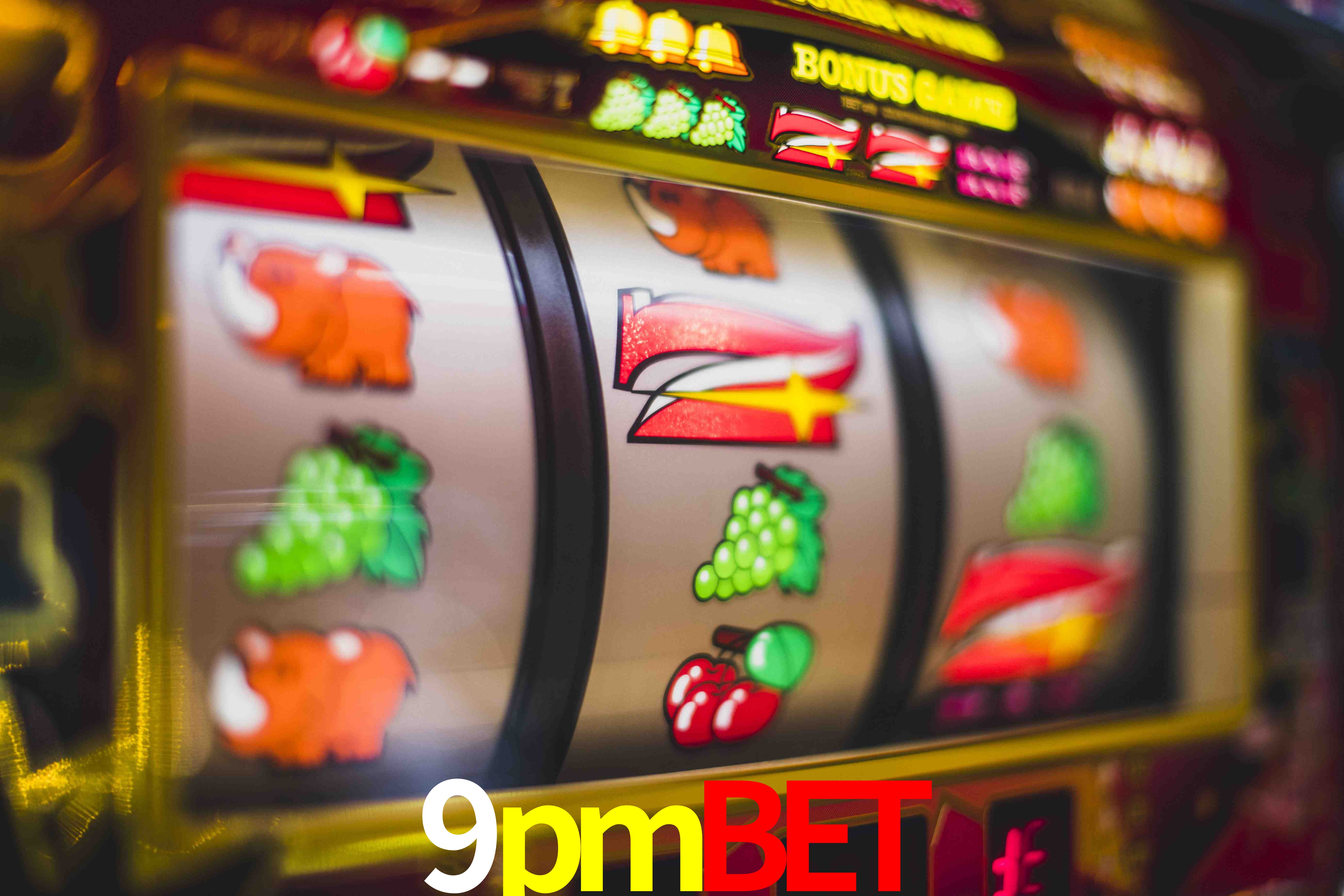 Statistics 9pmbet